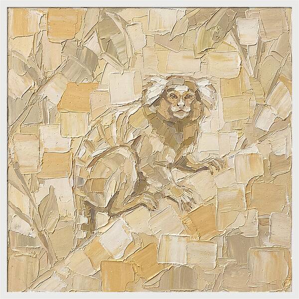 Marmoset In Earthy Tones