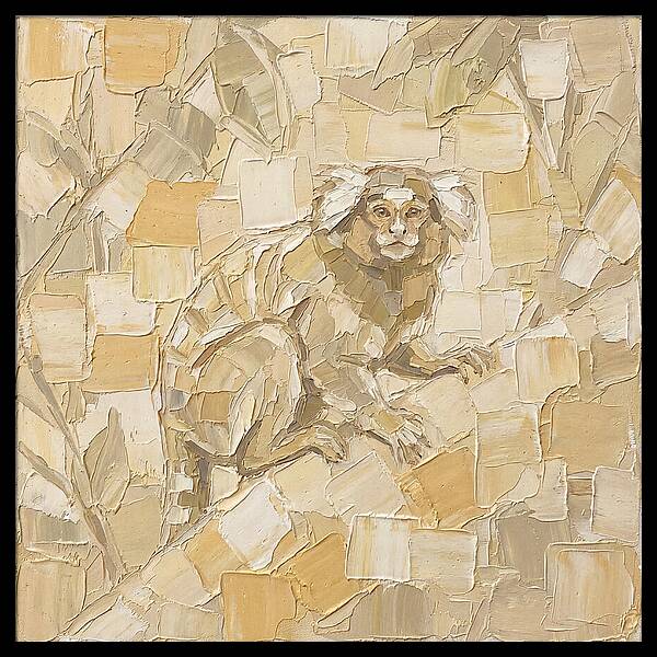 Marmoset In Earthy Tones