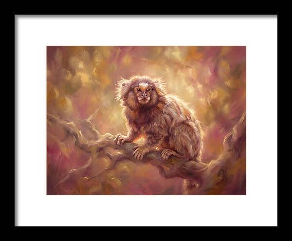 Marmoset In Light
