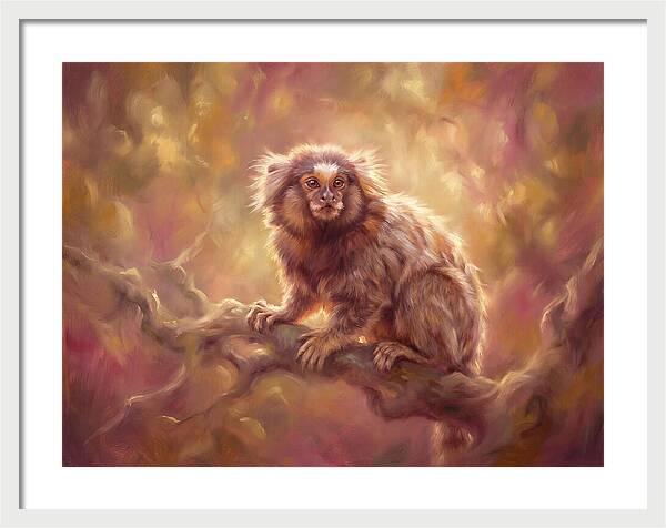 Marmoset In Light