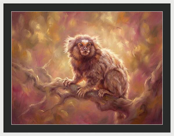 Marmoset In Light