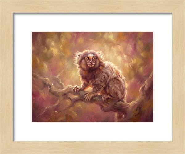 Marmoset In Light