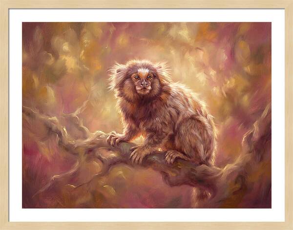 Marmoset In Light