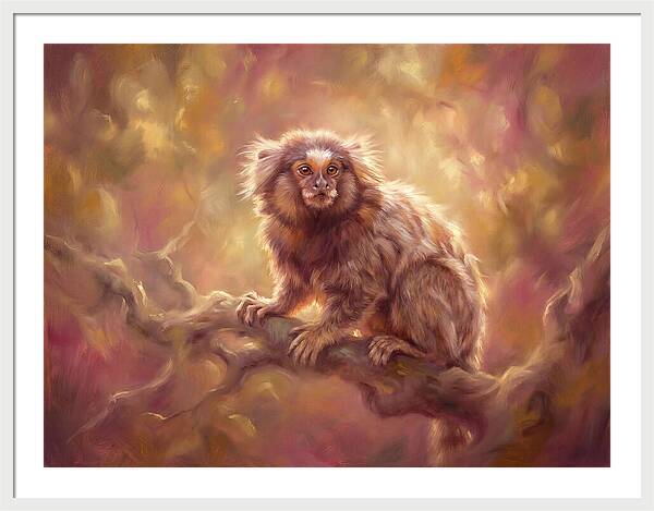 Marmoset In Light