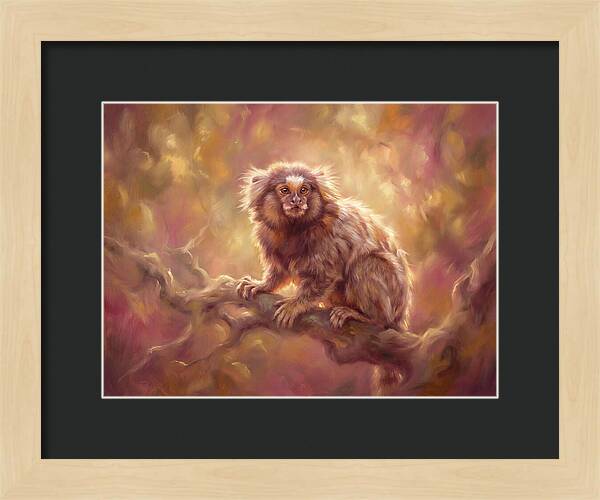 Marmoset In Light