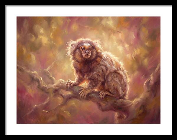 Marmoset In Light