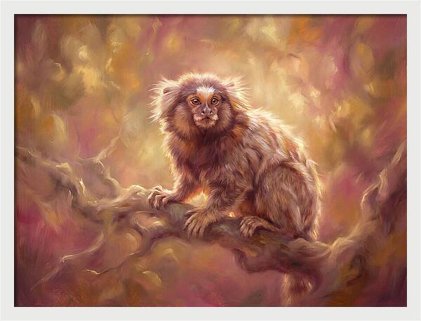 Marmoset In Light