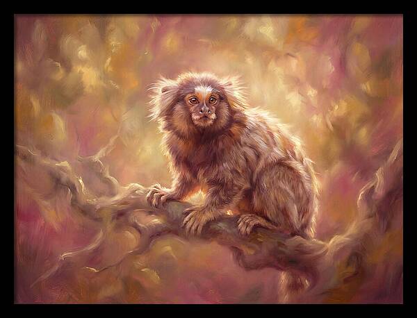 Marmoset In Light
