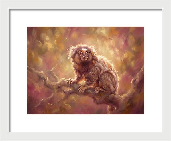 Marmoset In Light