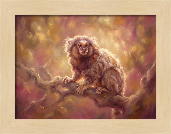 Marmoset In Light