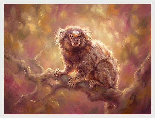 Marmoset In Light
