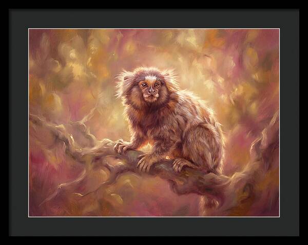 Marmoset In Light