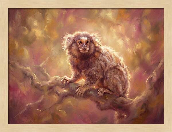 Marmoset In Light