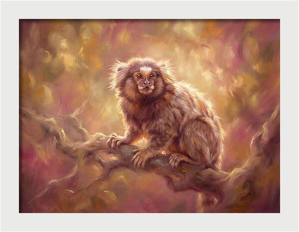 Marmoset In Light