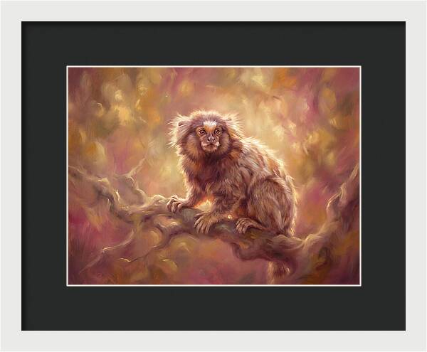 Marmoset In Light
