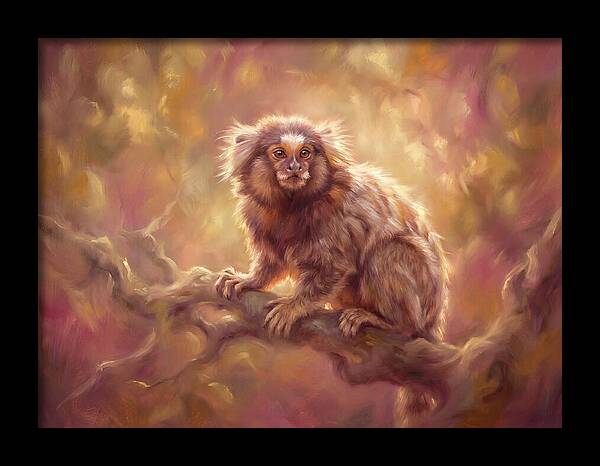 Marmoset In Light