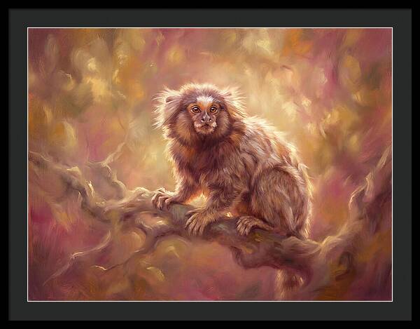 Marmoset In Light
