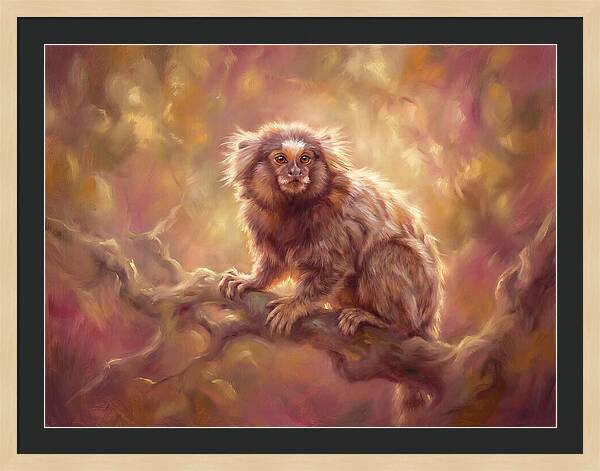 Marmoset In Light
