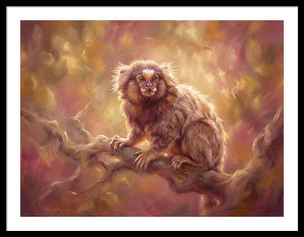 Marmoset In Light