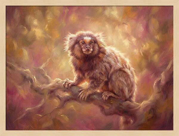 Marmoset In Light