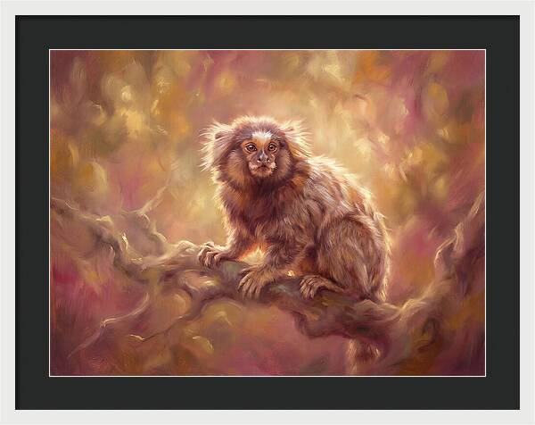 Marmoset In Light