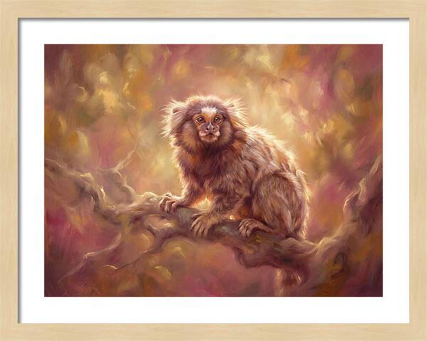 Marmoset In Light