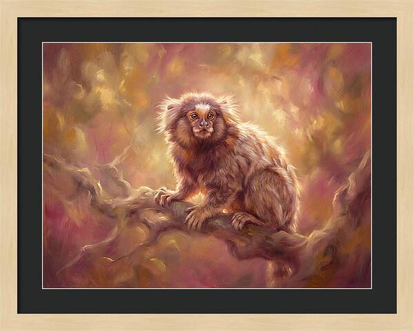 Marmoset In Light