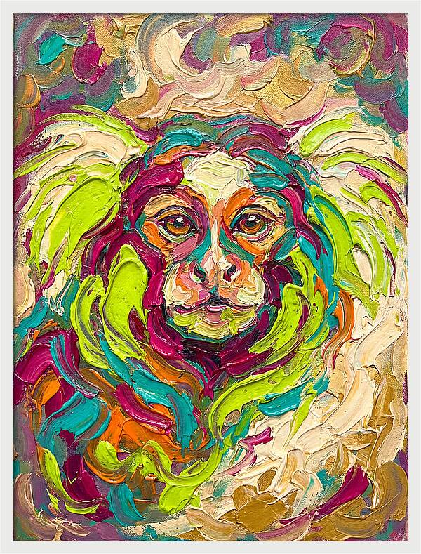 Marmoset In Vibrant Colors