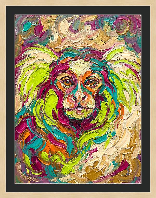Marmoset In Vibrant Colors