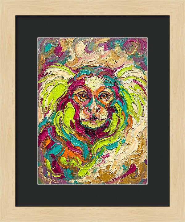 Marmoset In Vibrant Colors