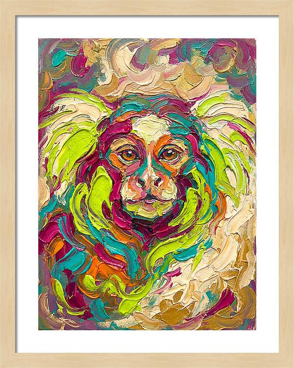 Marmoset In Vibrant Colors