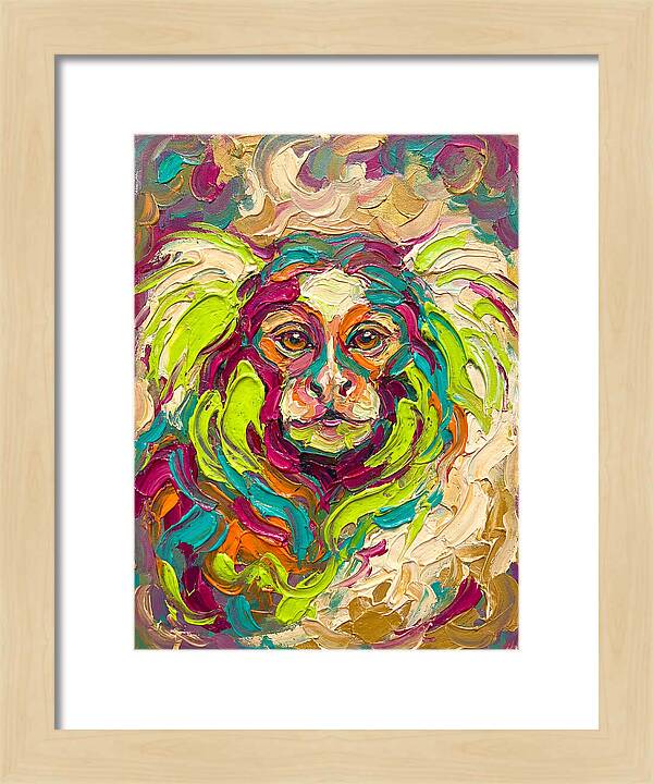 Marmoset In Vibrant Colors
