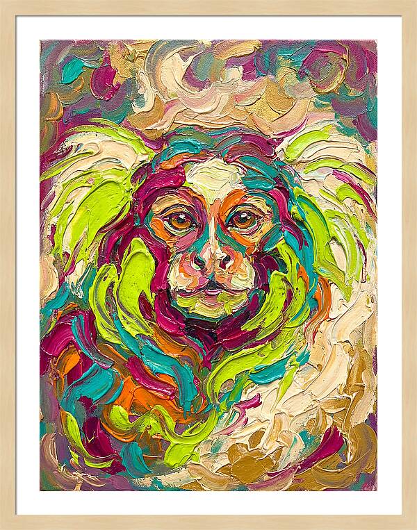 Marmoset In Vibrant Colors