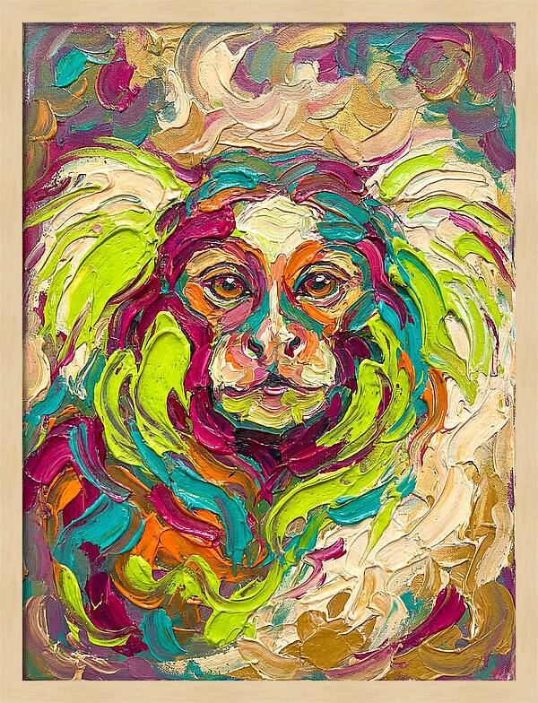 Marmoset In Vibrant Colors