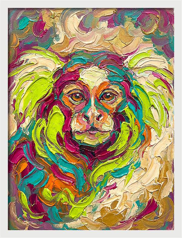 Marmoset In Vibrant Colors