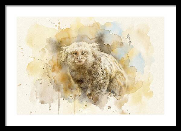 Marmoset Watercolor Portrait