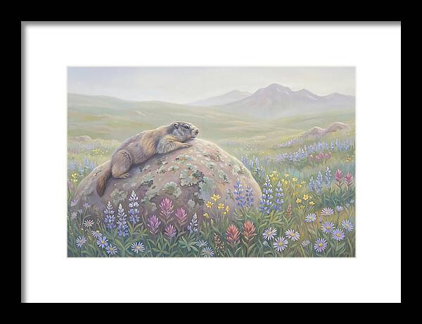 Marmot Sunning On Boulder