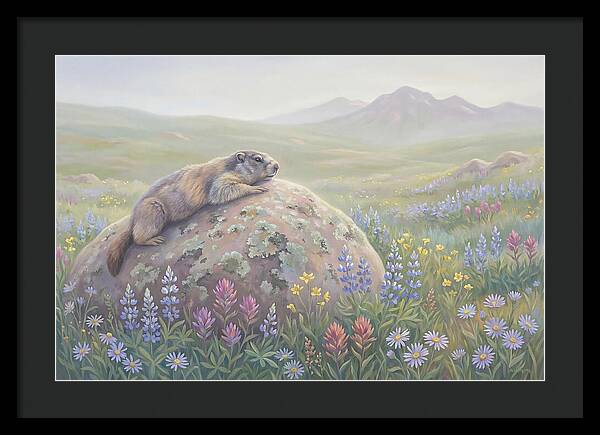 Marmot Sunning On Boulder