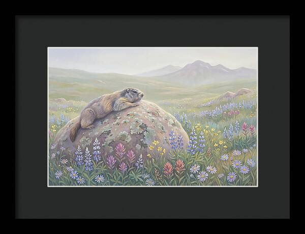 Marmot Sunning On Boulder