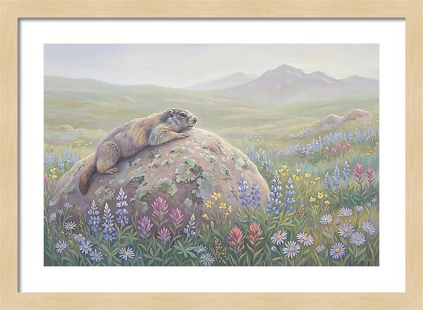 Marmot Sunning On Boulder