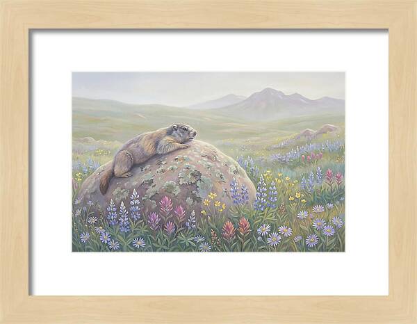 Marmot Sunning On Boulder