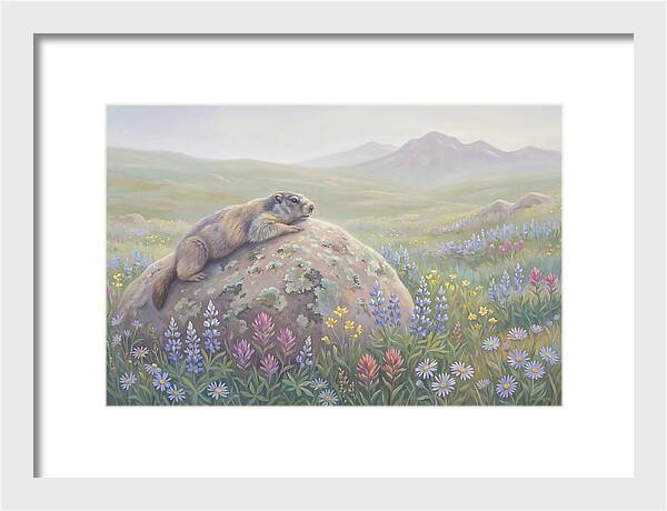 Marmot Sunning On Boulder