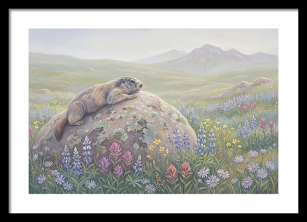 Marmot Sunning On Boulder
