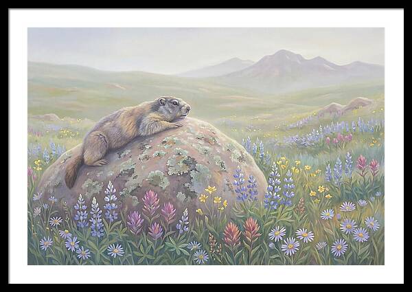 Marmot Sunning On Boulder