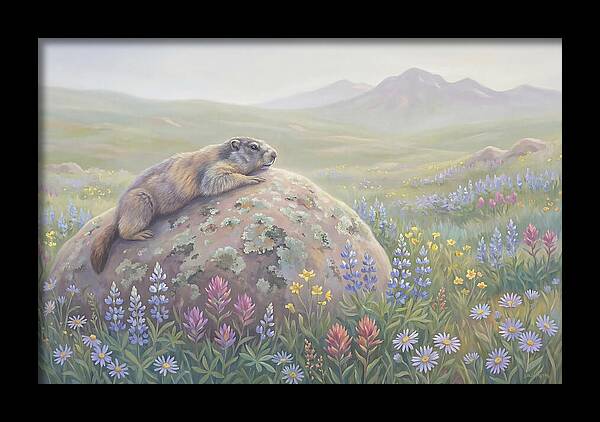 Marmot Sunning On Boulder