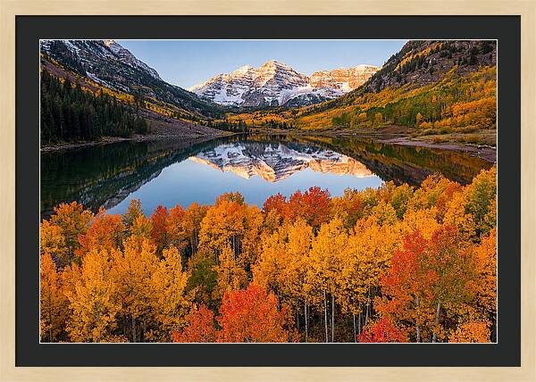 Maroon Bells In Autumn Splendor