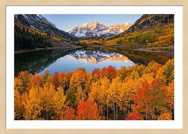 Maroon Bells In Autumn Splendor