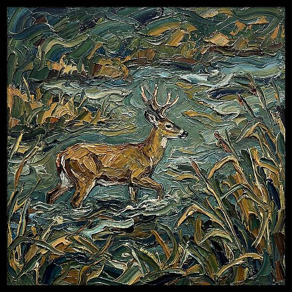 Marsh Deer Amidst Serene Reflections