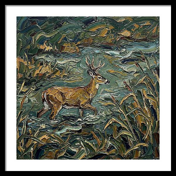 Marsh Deer Amidst Serene Reflections