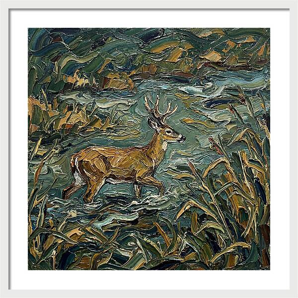 Marsh Deer Amidst Serene Reflections
